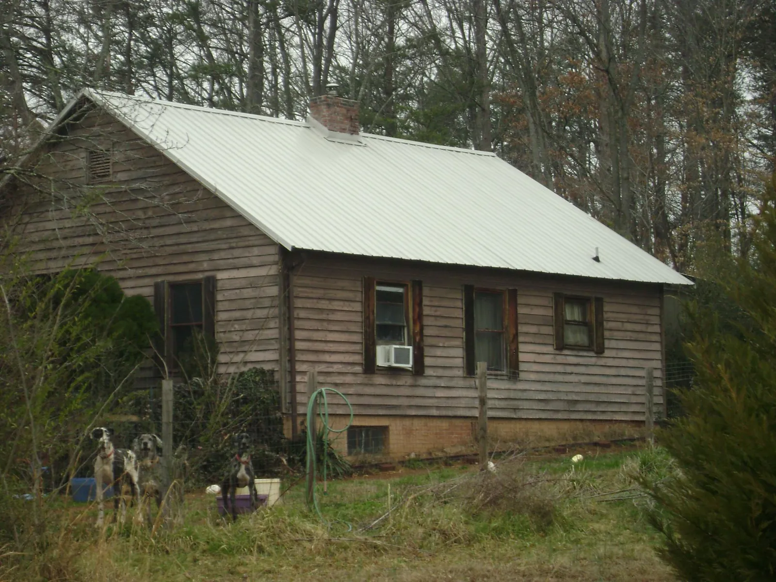 White metal roof on an old wood sided farmhouse, from a Asphalt Shingle Roof Repair job in Scotts Valley